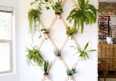 3 DIY para decorar con plantas de interior